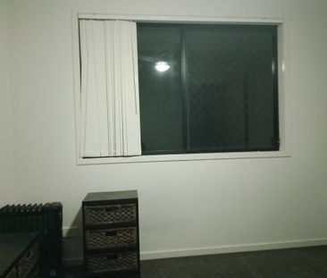 Doolandella - Photo 4