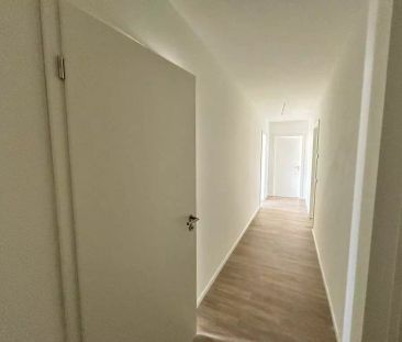 An Hornsgarten 64, 50321 Brühl - Photo 5