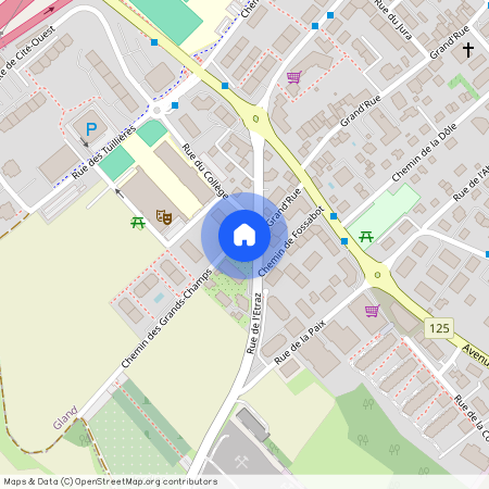 Grands-Champs 1, 1196 Gland