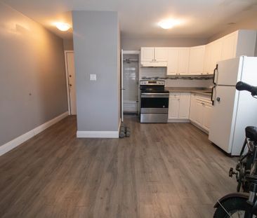 COZY BACHELOR APARTMENT IN THOROLD!! - Photo 3