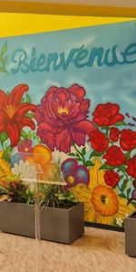 TYPE 1 CONTREXEVILLE - Photo 4