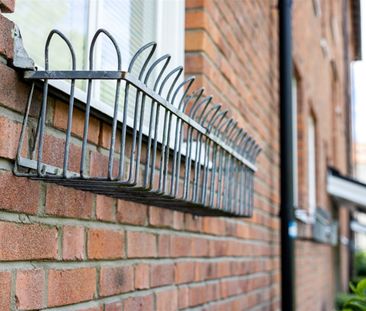 Ljuragatan 99 - Photo 2