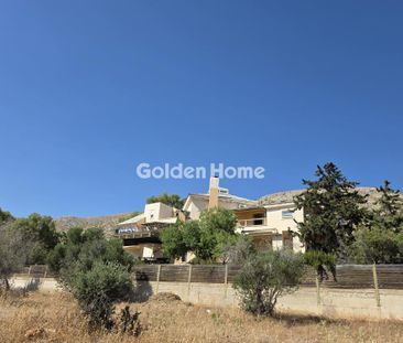 Μονοκατοικία 500 τ.μ. προς ενοικίαση - Photo 4