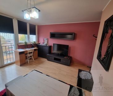 Kawalerka w centrum przy Galaxy, wynajem !!! - Zdjęcie 1