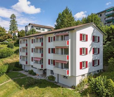 Frisch sanierte 3.5-Zimmerwohnung an zentraler Lage in Zollikofen - Photo 3