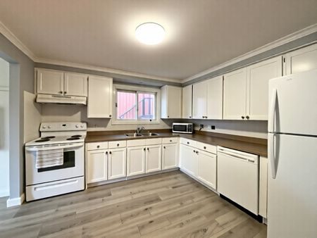 $2,499 / 3 br / 1 ba / 255 Blackhorne dr - Photo 3