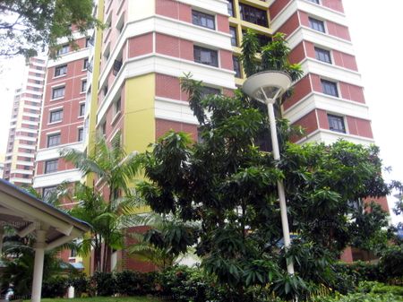 Blk 75C Redhill Road (Bukit Merah), HDB 5 Rooms - For Rent - Photo 5