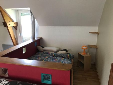 PACE, rue du Docteur Léon, Type 1 MEUBLE, 1er étage, 31m², comprenant: entrée avec placard, piè... - Photo 4