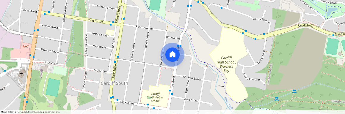 39 Fifth Street, NSW 2285, Cardiff South