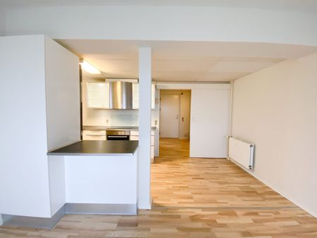 Dejlig 2-værelses lejlighed i roligt område - Foto 2