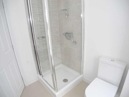 Heckingham Park Drive, Hales, NR14 - Photo 5