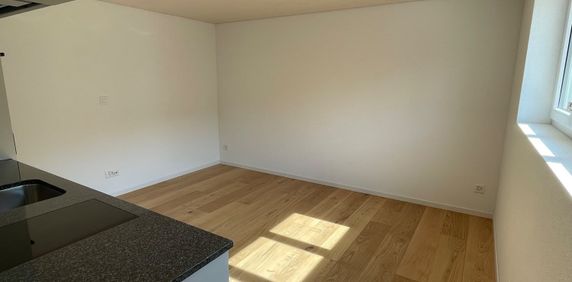 1 Zimmer, 19 m² - Photo 2