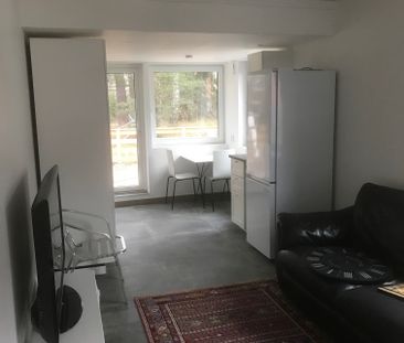 Ginstvägen, Bro - Photo 2