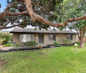 Neat and Tidy Home and Beachside Pocket - Photo 3