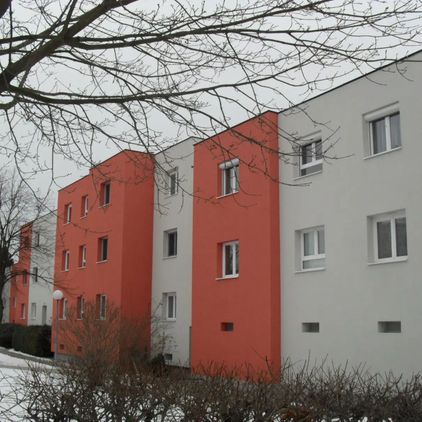 3-Zimmer-Wohnung mit Loggia, Top 333 - Foto 1