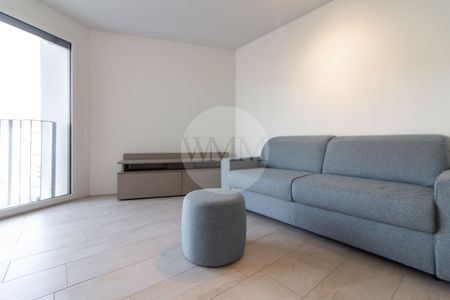 MODERN FURNISHED MONO-APARTMENT IN VIGANELLO - Photo 2