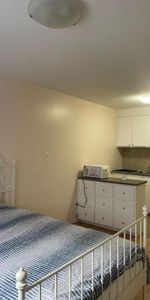 1 1/2 - Montréal (Le Plateau Mont-Royal) - 1 250 $/mois - Photo 3