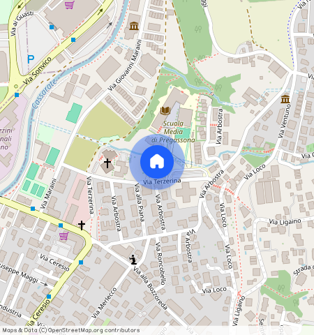 Via Terzerina 5, 6963, Pregassona