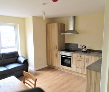 Great Apartment, 101a Rugby Avenue, Queens University Quarter, Belfast - Photo 5