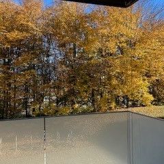 La Pâla 105 / 3.5 pièces de 88m2 / 2 balcons - Foto 1