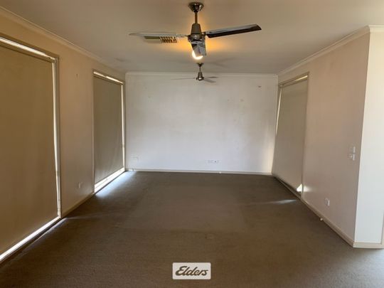 11 Alkira Place, 3500, Mildura Vic - Photo 1