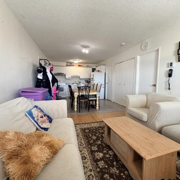 Appartement 3 ½ à louer Sainte-Foy / Sillery juillet 2026 - Photo 1