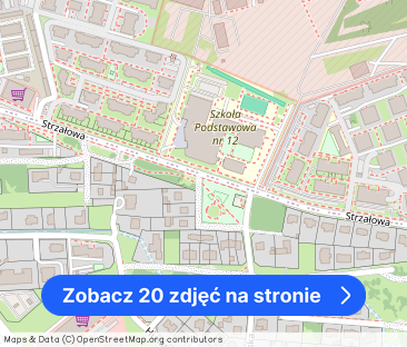 Sosnowy las - Zdjęcie 1