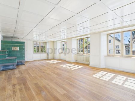 5.5 Room Apartment a unique home that combines history and modernity - Photo 5