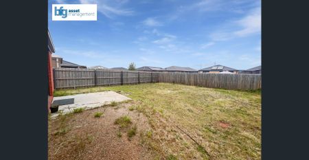 Modern 4 Bedroom Home in a great location! - Photo 3