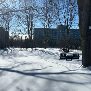 For Lease - 222 Trott Drive, London North, Ontario - Photo 3