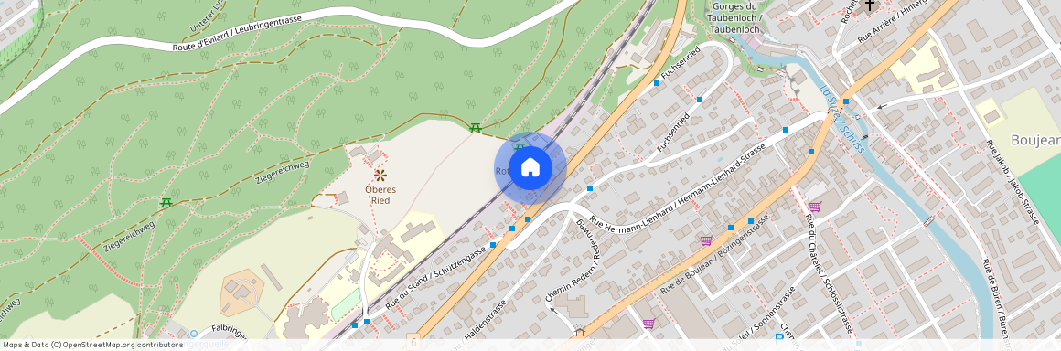 Reuchenettestrasse 81, 2502 Biel/Bienne, Schweiz