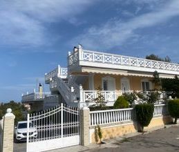 Μονοκατοικία για ενοικίαση - Σχηματάρι, - Photo 5