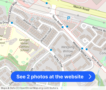 Weeping Willow Lane - Photo 1