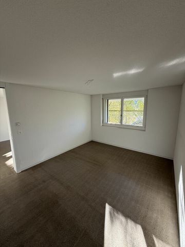 Moderne 2-Zi-Wohnung nahe der Stadt Luzern mit Gartensitzplatz - Photo 2