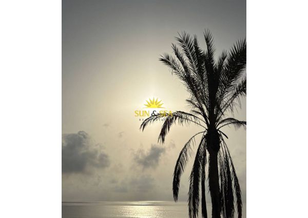 1 bedroom apartment on the 1st floor - GUARDAMAR DEL SEGURA