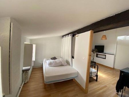 Location appartement 1 pièce 30.15 m² à Vienne (38200) 4 - Photo 4