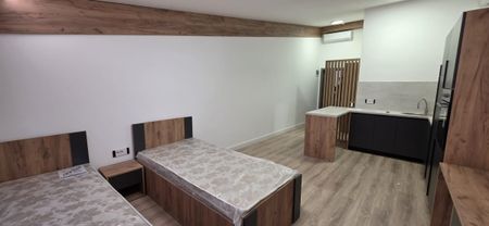 New and modern one-room apartments for rent in Cluj-Napoca, a 5-minute walk from the University of Medicine and Pharmacy and a 5-minute walk from the University of Agricultural Sciences and Veterinary Medicine - Fotografie 3
