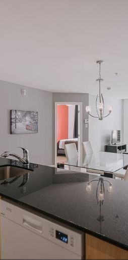 Appartement 3 ½ à louer Lévis septembre 2025 - Photo 1