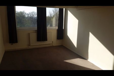 2 Bed Flat, Furze Hill House, BN3 - Photo 3