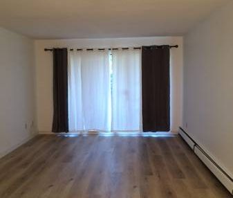 1 bedroom 1 bathroom beautiful cozy apartment for rent Burnaby - Photo 1