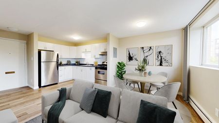 Bachelor Apartment - Photo 3