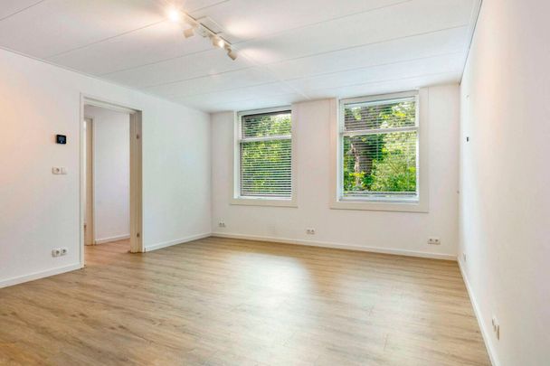 Platteweg, Reeuwijk, Nederland - Foto 1