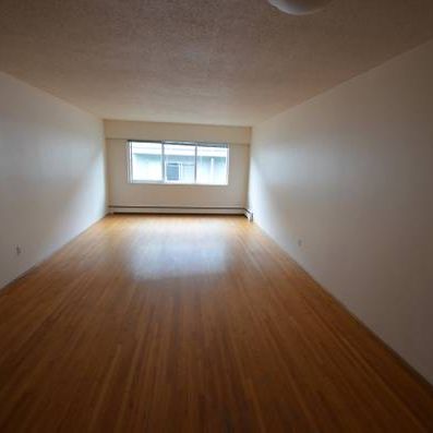 Charming 1 Bedroom Apartment - Photo 1