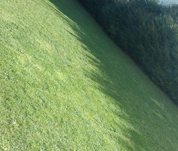 Location Appartement 1 pièce 30m² ORLEANS 45000 - Photo 5