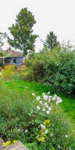 1 bed Room To Let - Photo 4