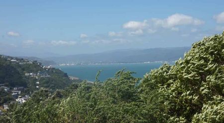 Sunny Studio Flat - Photo 4