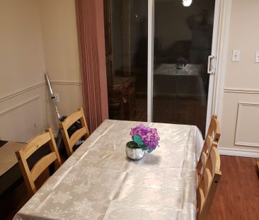 For Lease - 19 Bingham Street Unit# Basement, Richmond Hill, Ontario - Photo 2