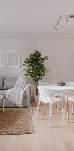 Appartement 3 ½ à louer Charlesbourg juillet 2026 - Photo 1