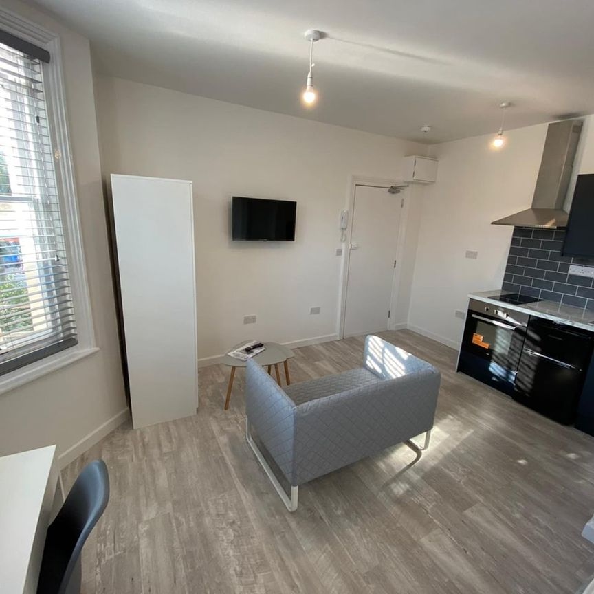 Studio Flat, Goldstone Villas, BN3 - Photo 1
