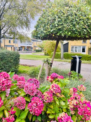 Annerovägen 44 A - Photo 1